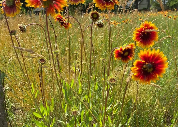 ヴィラ Dom Na Wlosciach Ostrykol Wloscianski